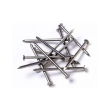 Common Nail G10 X 4" 5 KG